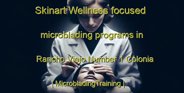 Skinart Wellness-focused microblading programs in Rancho Viejo Number 1 Colonia | MicrobladingTraining | MicrobladingClasses | SkinartTraining-United States
